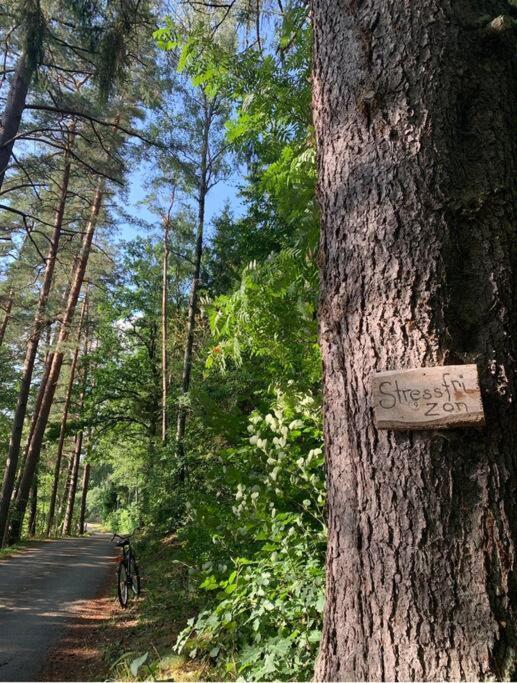 Ett Naturparadis Intill Moerrumsan